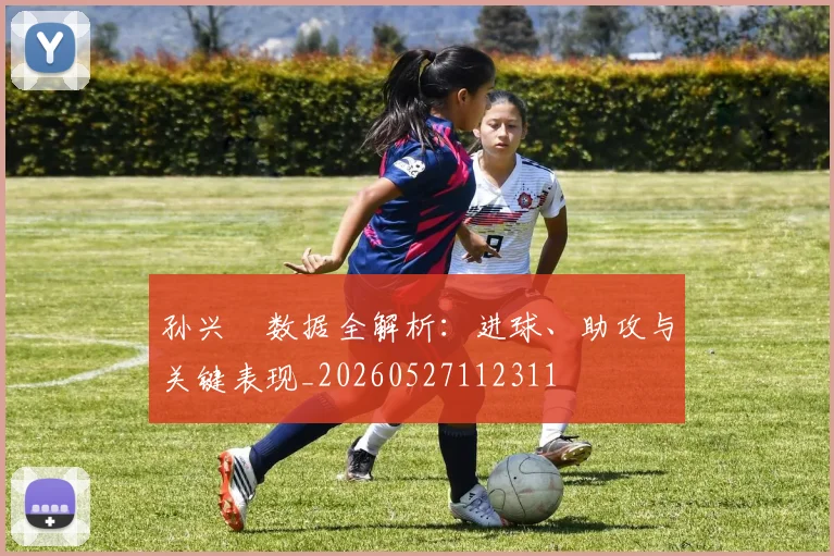孙兴慜数据全解析：进球、助攻与关键表现_20260527112311